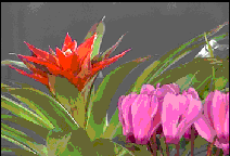 TFC_colorsetproj1.gif (11262 bytes)