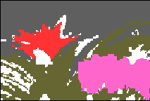 TFC_colorsetproj3.gif (3094 bytes)