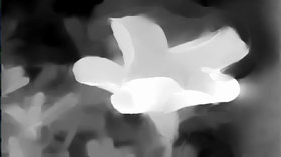 Imagem de profundidade