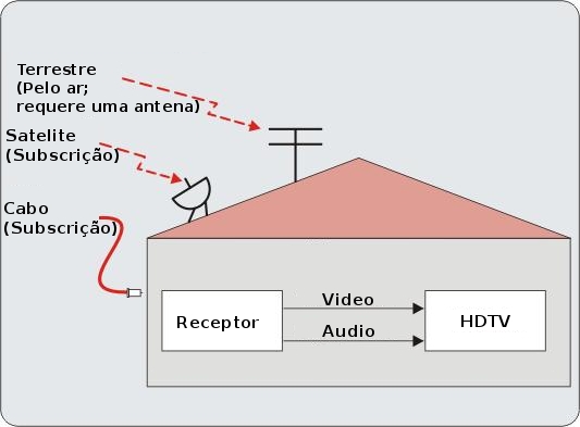 download the endocrine function of