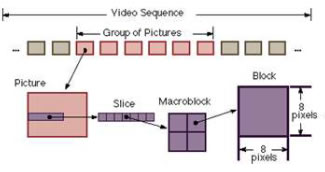 struct_video