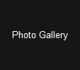 Photo Gallery