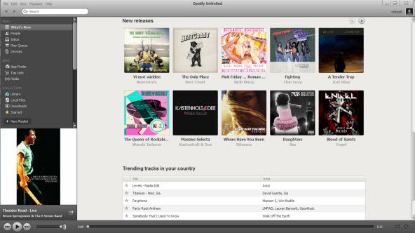 spotify_screenshot copy